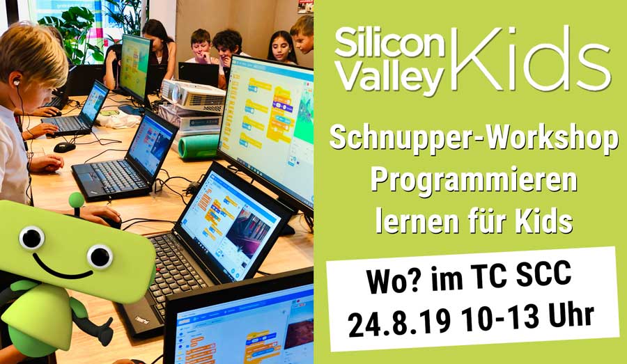 programmieren lernen silicon valley